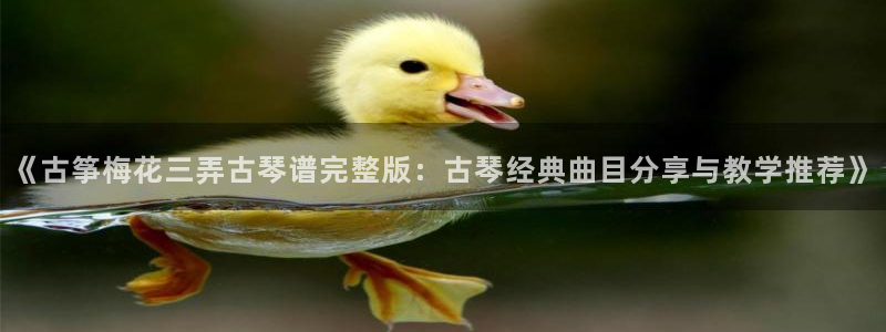 凯发K8旗舰厅