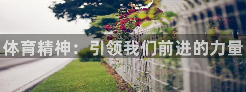 betway西汉姆官网：体育精神：引领我们前进的力量