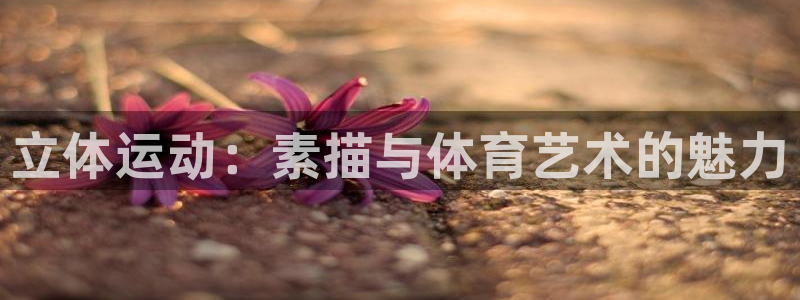 betway西汉姆：立体运动：素描与体育艺术的魅力