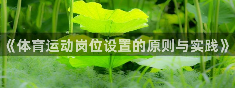 betway西汉姆：《体育运动岗位设置的原则与实践》