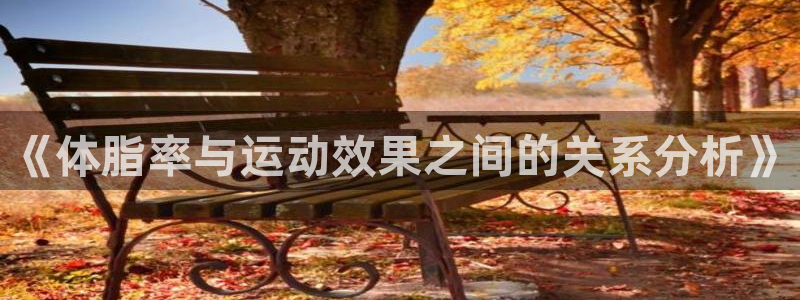 betway西汉姆官网：《体脂率与运动效果之间的关系分析》