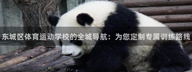 betway西汉姆：东城区体育运动学校的全城导航：为您定制专属训练路线