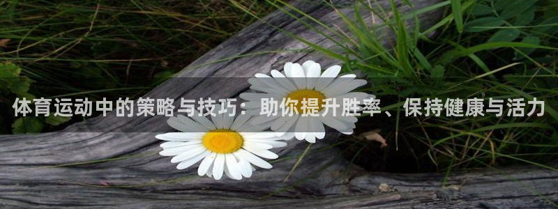 betway西汉姆联官网：体育运动中的策略与技巧：助你提升胜率、保持健康与活力