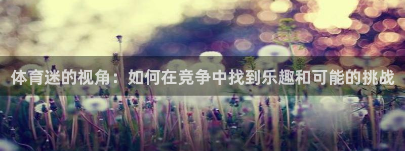 betway西汉姆联：体育迷的视角：如何在竞争中找到乐趣和可能的挑战