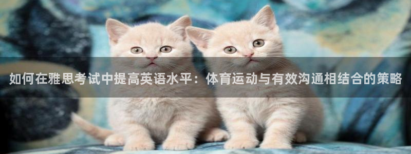 betway西汉姆：如何在雅思考试中提高英语水平：体育运动与有效沟通相结合的策略