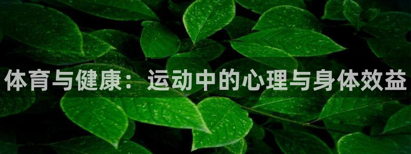 betway西汉姆联官网：体育与健康：运动中的心理与身体效益