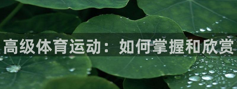betway西汉姆官网：高级体育运动：如何掌握和欣赏