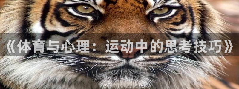 betway西汉姆联