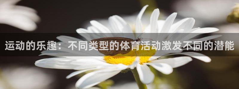 betway西汉姆官网：运动的乐趣：不同类型的体育活动激发不同的潜能