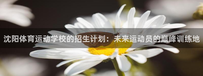 betway西汉姆联官网：沈阳体育运动学校的招生计划：未来运动员的巅峰训练地