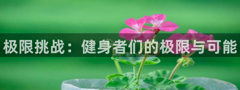 betway西汉姆：极限挑战：健身者们的极限与可能