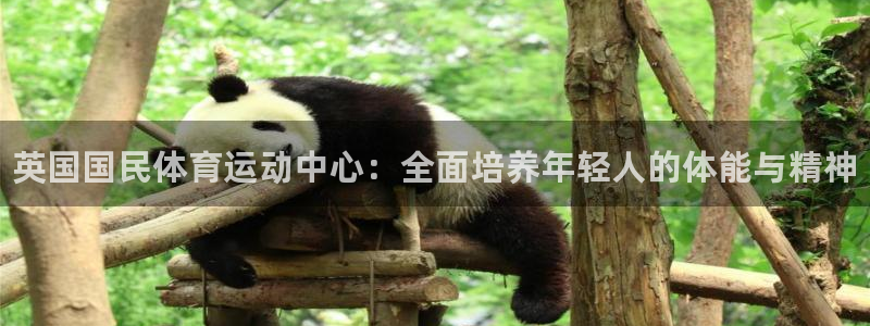 betway西汉姆联官网：英国国民体育运动中心：全面培养年轻人的体能与精神