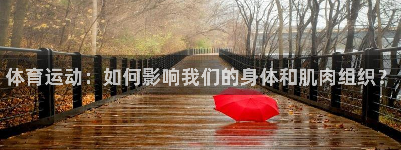 betway西汉姆联：体育运动：如何影响我们的身体和肌肉组织？