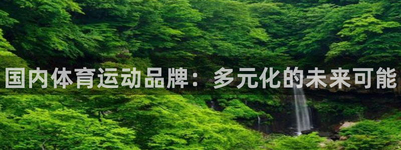 betway西汉姆官网：国内体育运动品牌：多元化的未来可能