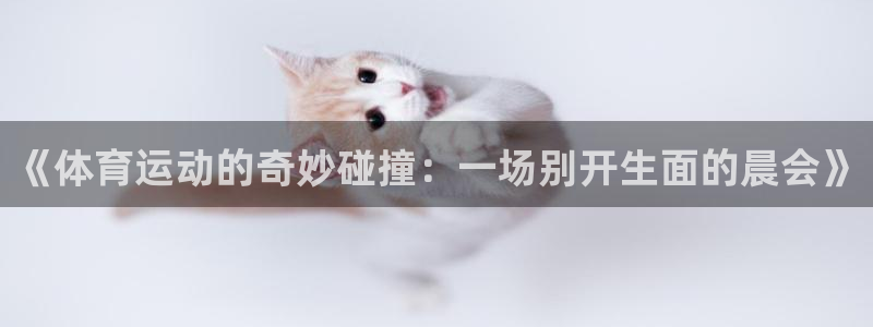 betway西汉姆联官网：《体育运动的奇妙碰撞：一场别开生面的晨会》