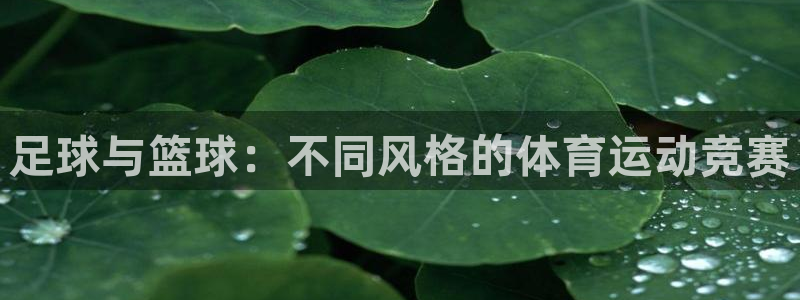 betway西汉姆联：足球与篮球：不同风格的体育运动竞赛