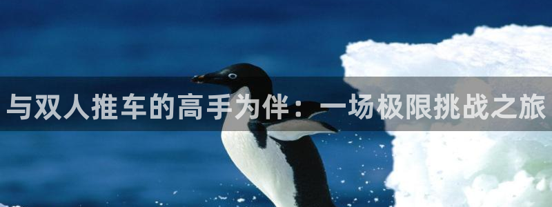 betway西汉姆联官网：与双人推车的高手为伴：一场极限挑战之旅