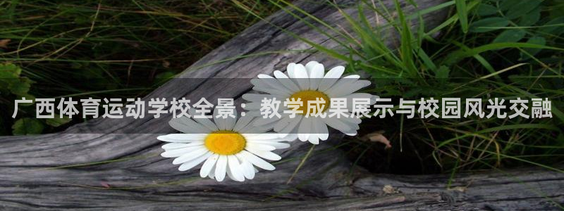 betway西汉姆联：广西体育运动学校全景：教学成果展示与校园风光交融