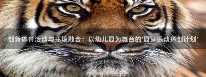 betway西汉姆联：创新体育活动与环境融合：以幼儿园为舞台的\'园童乐动环创计划\'