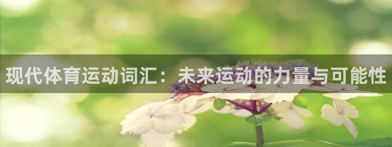 betway西汉姆联：现代体育运动词汇：未来运动的力量与可能性
