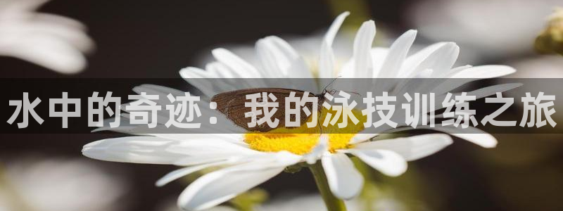 必威betway西汉姆联：水中的奇迹：我的泳技训练之旅