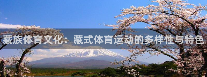 betway西汉姆联官网：藏族体育文化：藏式体育运动的多样性与特色