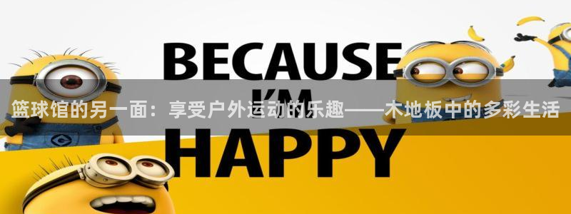 betway西汉姆官网：篮球馆的另一面：享受户外运动的乐趣——木地板中的多彩生活