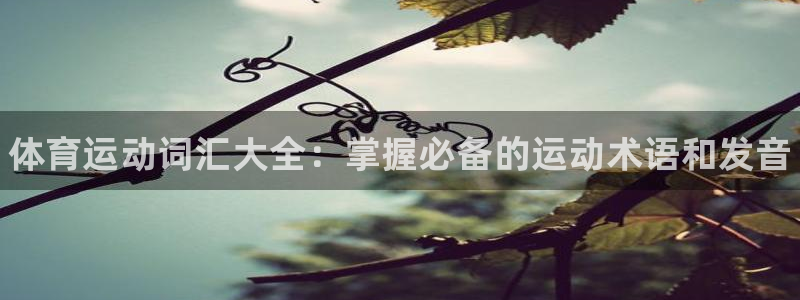 betway西汉姆：体育运动词汇大全：掌握必备的运动术语和发音