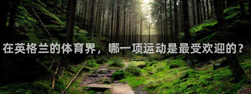 betway西汉姆联：在英格兰的体育界，哪一项运动是最受欢迎的？